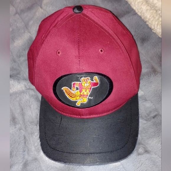 Two (2) Minnesota Gophers Baseball Hats and One (1) Soft Lunch Box/Bag. - Picture 5 of 15